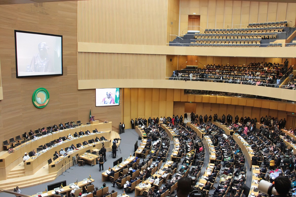 联合国非洲人后裔委员会会议（视频）